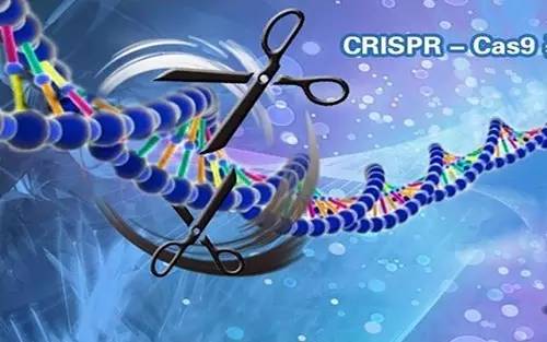 Science最新揭秘：除了CRISPR，細菌體內還存在超10種免疫防御系統
